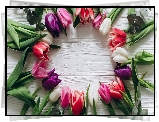 Kolorowe, Tulipany, Deska