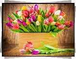 Tulipany, Kwiaty