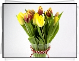 Tulipany, Kwiaty