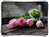 Tulipany, Kwiaty