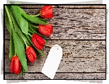 Kwiaty, Tulipany, Bilecik
