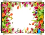 Kwiaty, Tulipany, Motyle