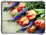 Kwiaty, Tulipany, Łubin