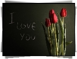Tulipany, Love