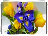 Żółte, Tulipany, Art