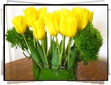 Żółte, Tulipany, Bukiet