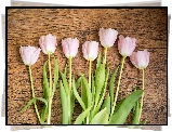 Różowe, Tulipany, Drewno