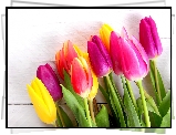 Kwiaty, Bukiet, Kolorowe, Tulipany, Drewno, Wiosna