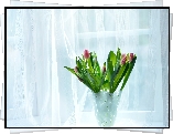 Tulipany, Wazon, Okno