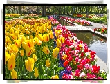 Wiosna, Tulipany, Park, Keukenhof, Lisse, Holandia
