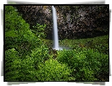 Wodospad, Skała, Roślinność, Paprocie, Rezerwat przyrody, Columbia River Gorge, Stan Waszyngton, Stany Zjednoczone