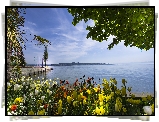 Niemcy, Wyspa Mainau Bay, Jezioro Bodeńskie, Tulipany