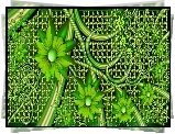 Zielone, Kwiaty, Grafika, 3D