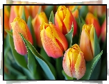 Tulipany, Żółto-czerwone, Liście, Zbliżenie