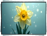 Rozkwitnięty, Kwiat, Narcyz żonkil