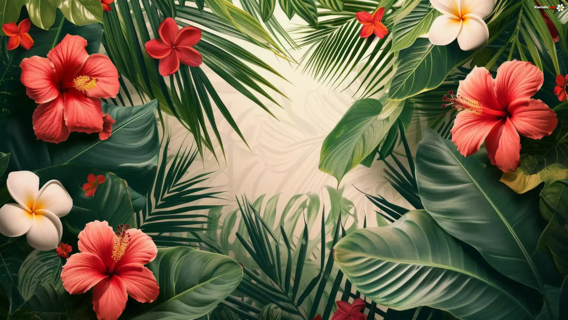 Kwiaty, Hibiskusy, Liście, 2D