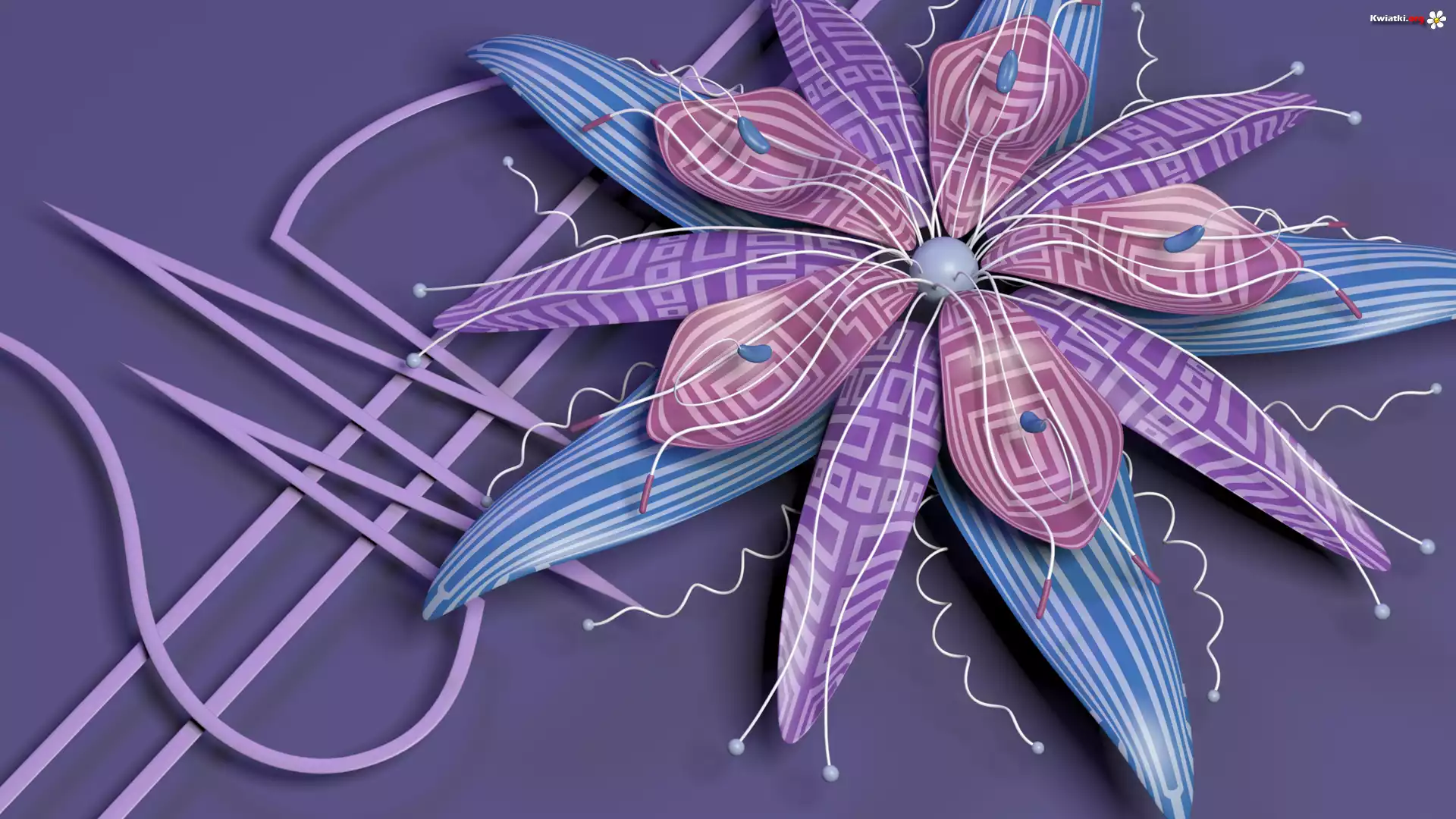Grafika 3D, Kwiat