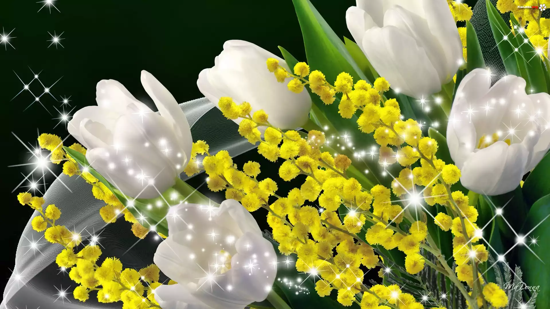 Białe, Tulipany, Refleksy, Światła, Art