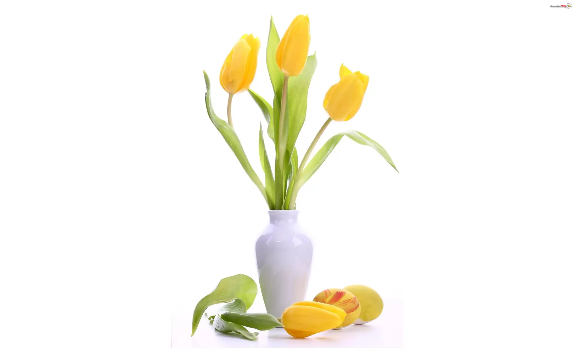 Żółte, Tulipany, Biały, Wazonik