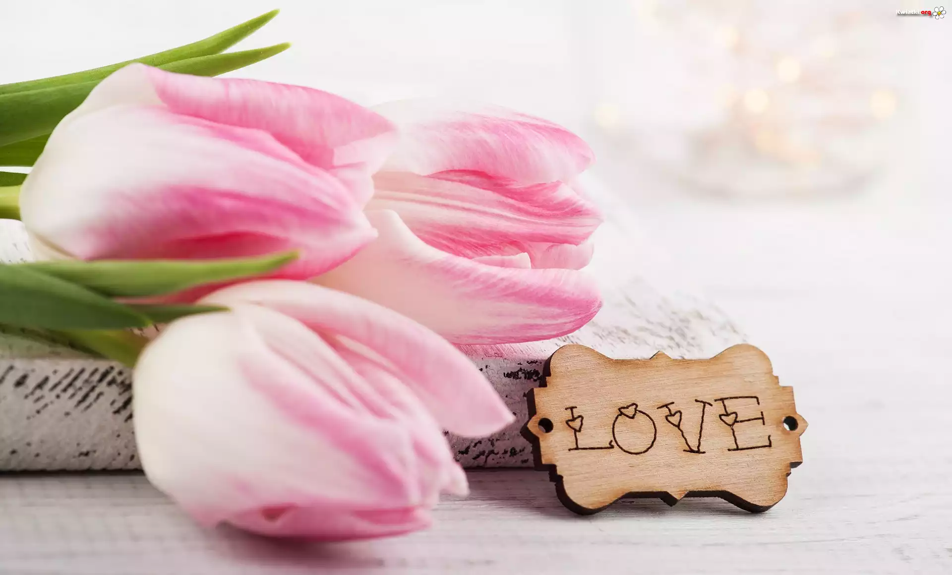 Trzy, Bladoróżowe, Tulipany, Tabliczka, Napis, Love, Miłość