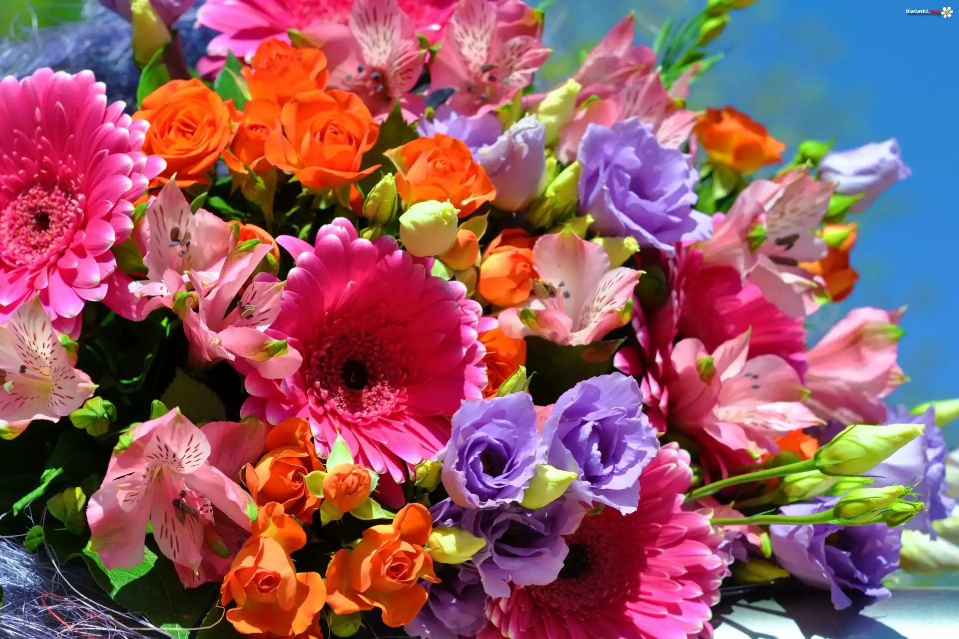 kwiaty-bukiet-kolorowe-zdj-cia