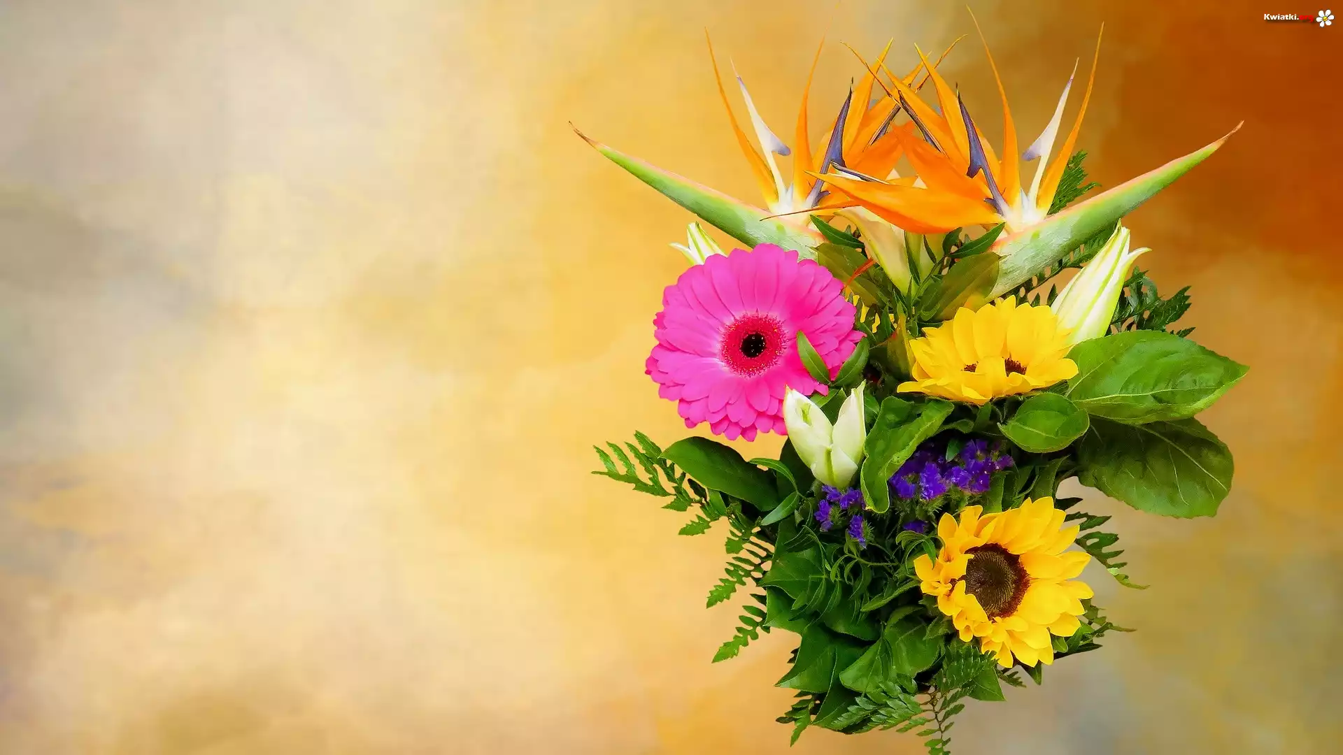 Kwiaty, Bukiet, Gerbera, Słoneczniki ozdobne, Strelicje, Żółte, Tło