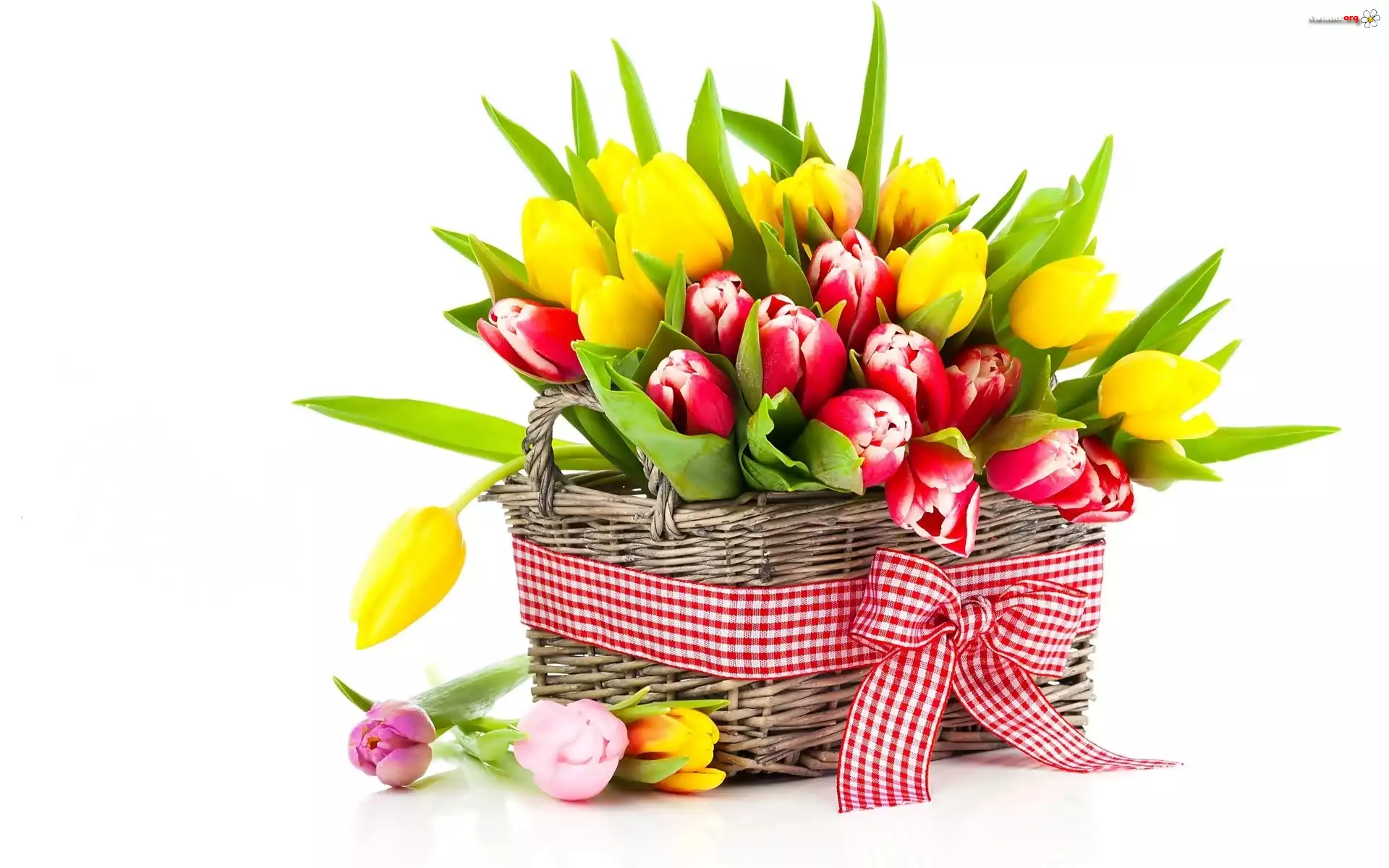 Bukiet, Kwiatów, Tulipany, Kosz