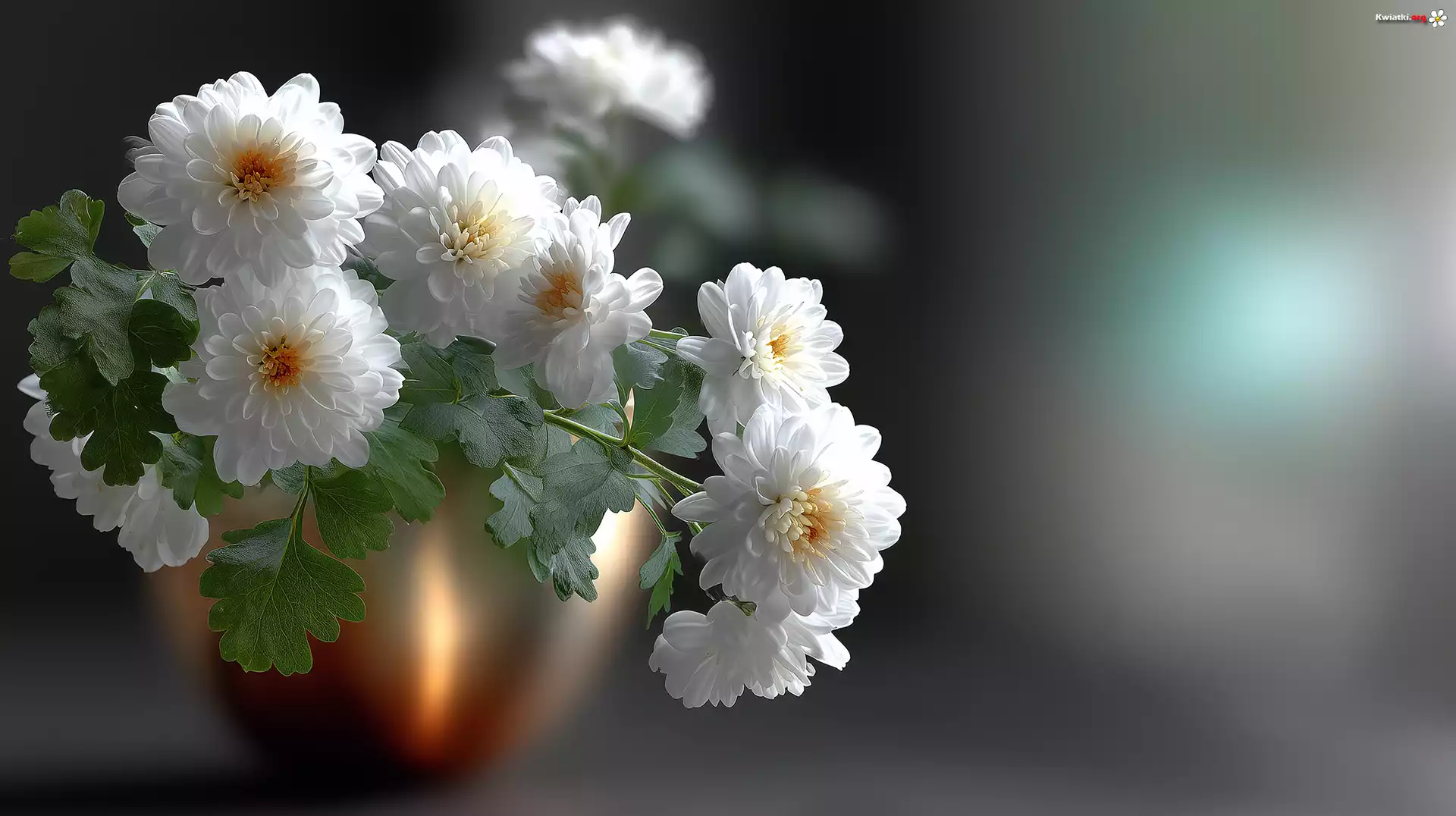 Białe, Chryzantemy, Kwiaty, Grafika AI
