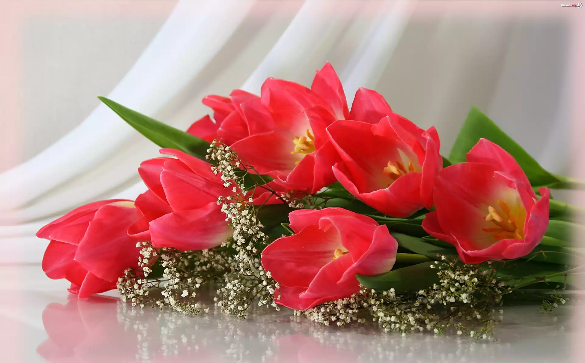 Kwiaty, Czerwone, Tulipany