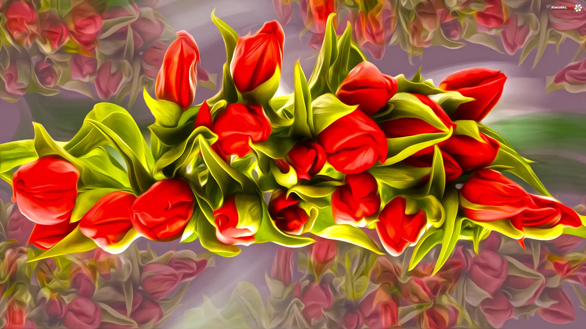 Tulipany, Czerwone, Grafika