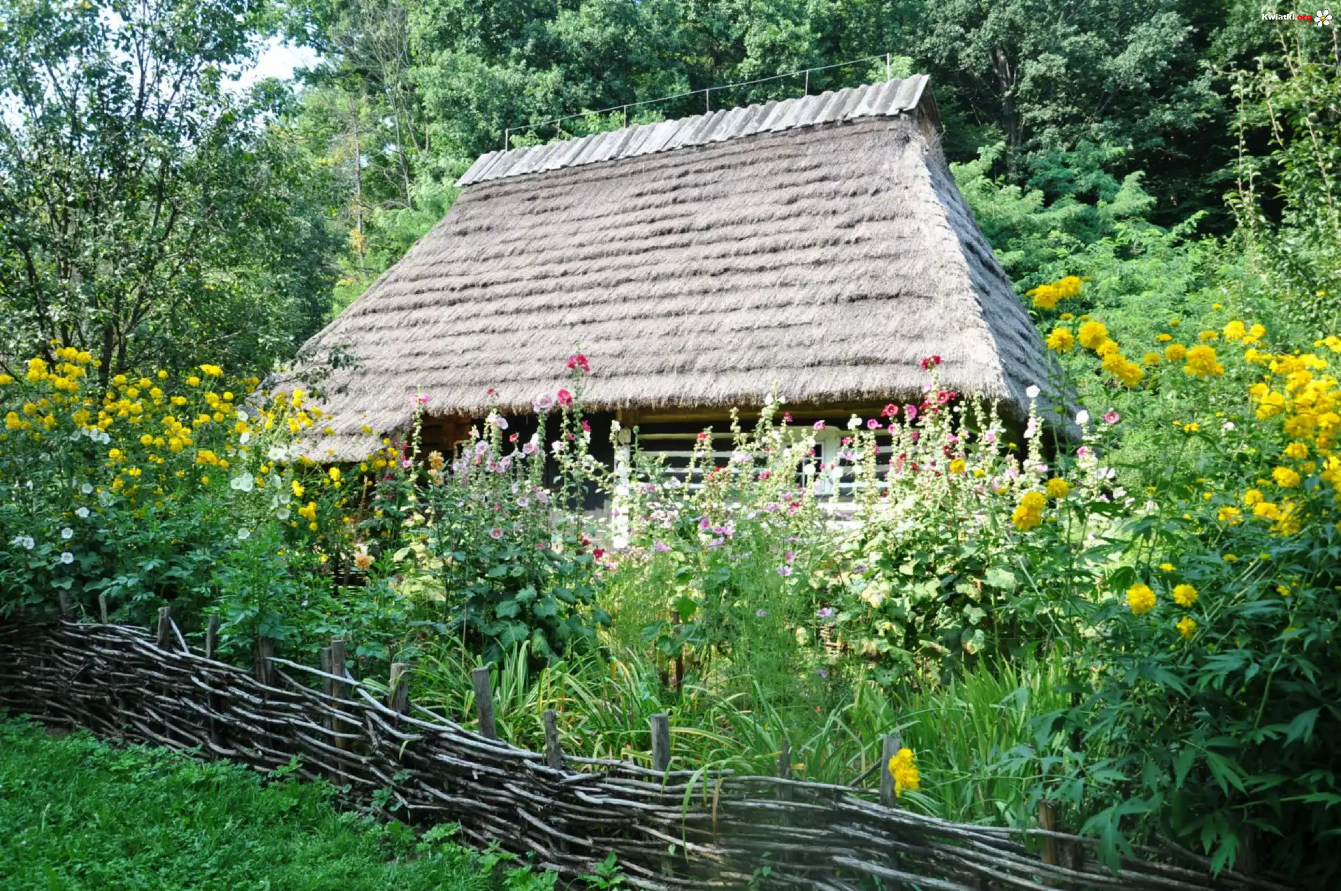 Domek, Drzewa, Kwiaty, Trawa, Płot