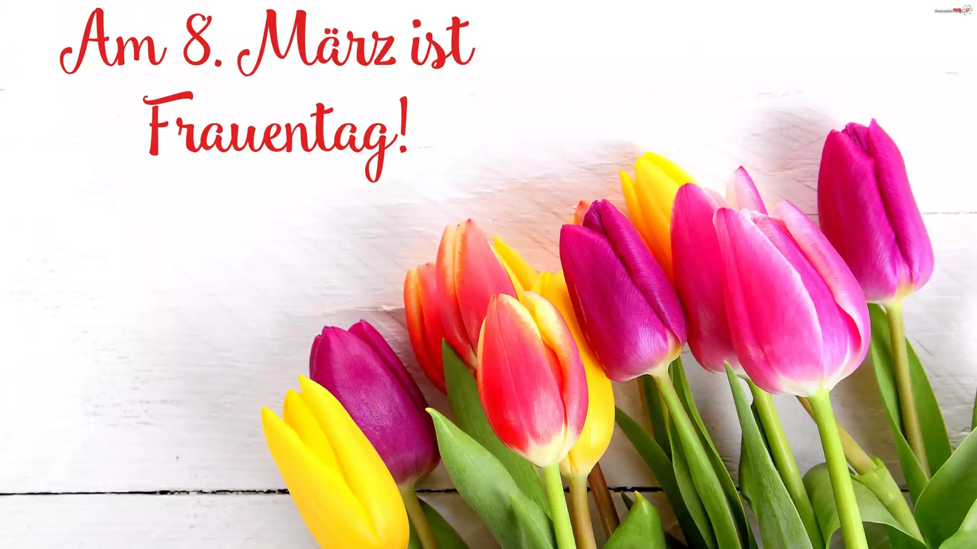 Dzień Kobiet, Kolorowe, Tulipany, Napis, Deski