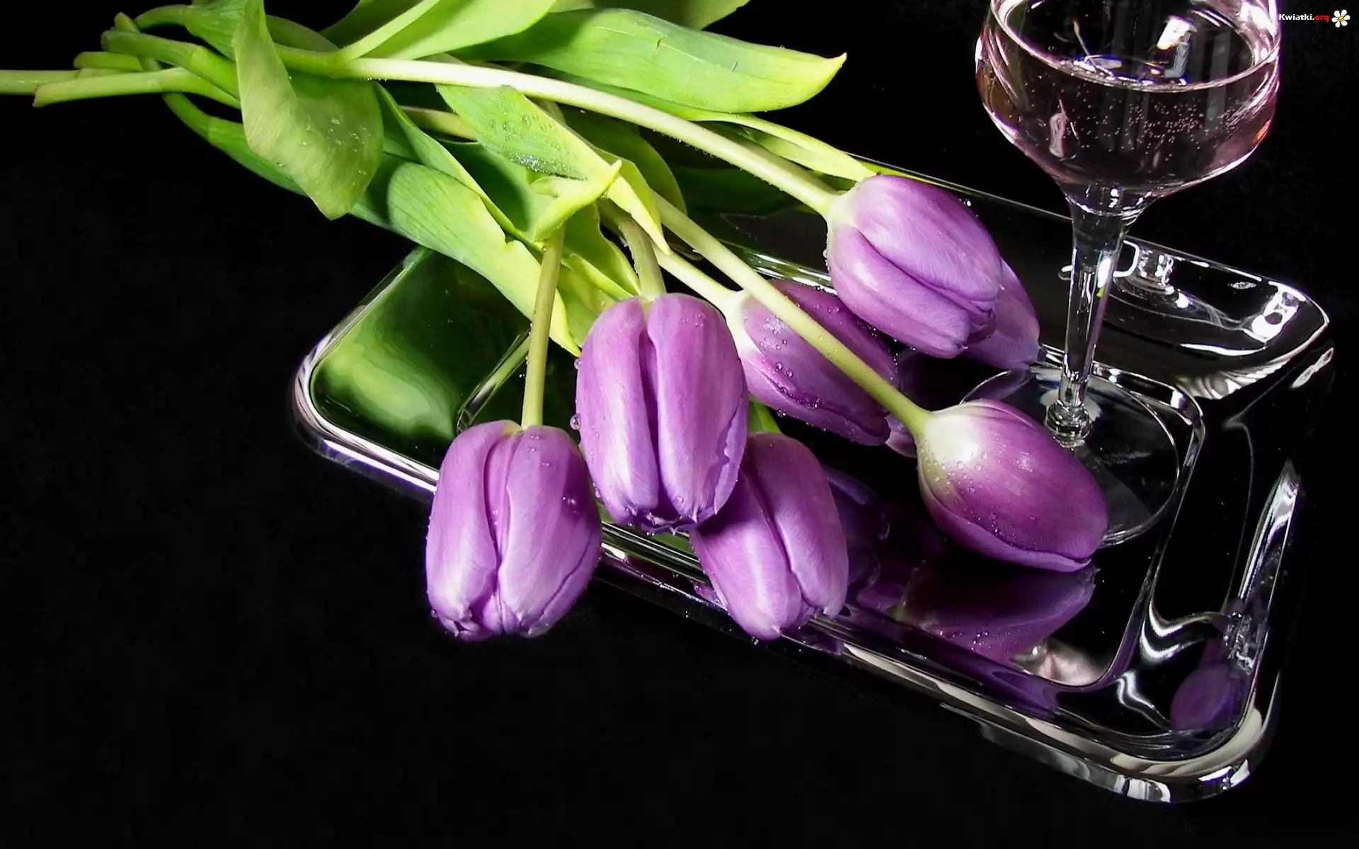 Fioletowe, Tulipany, Wino, Kieliszek