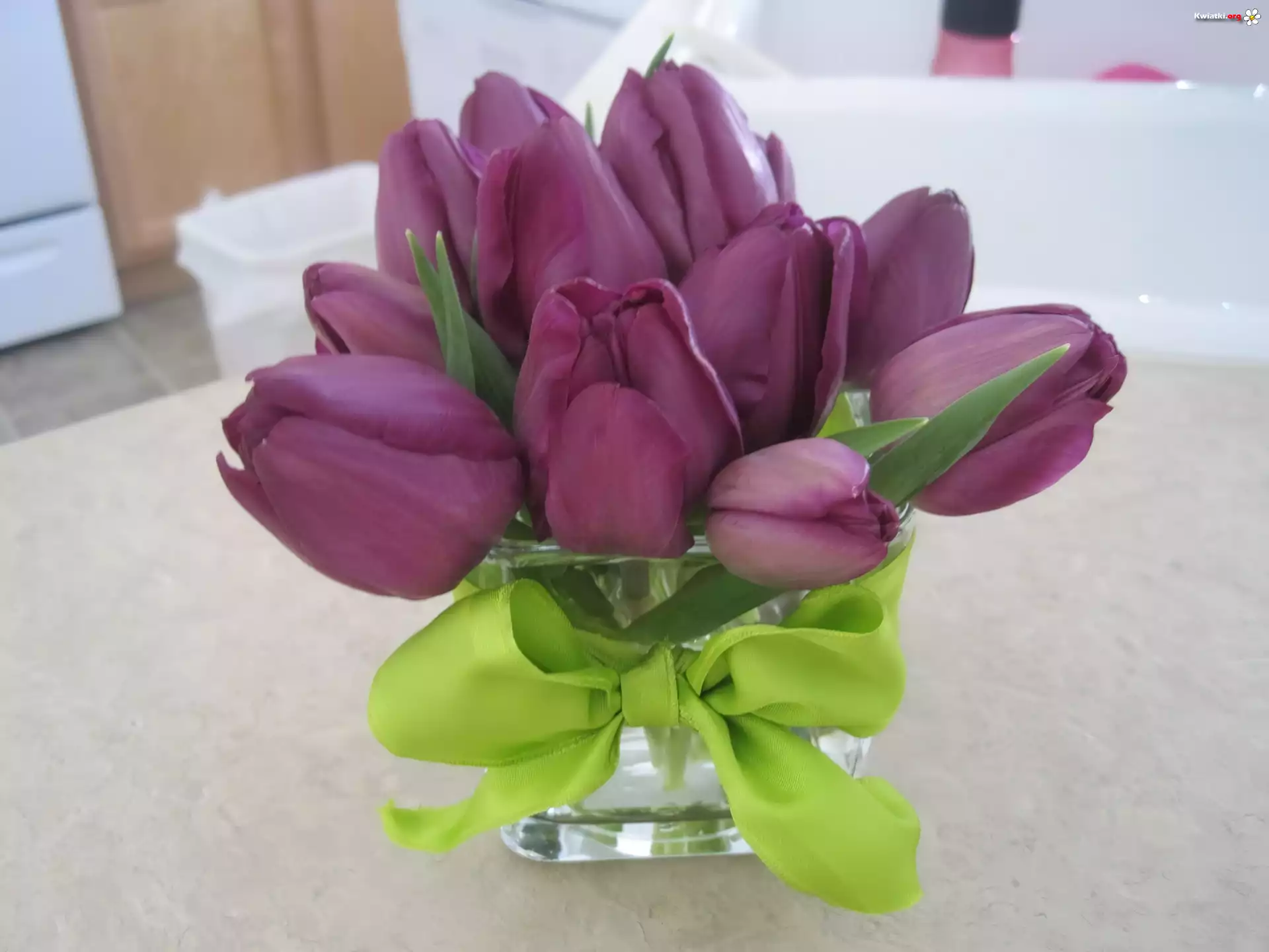 Fioletowe, Tulipany, Wstążka, Flakon