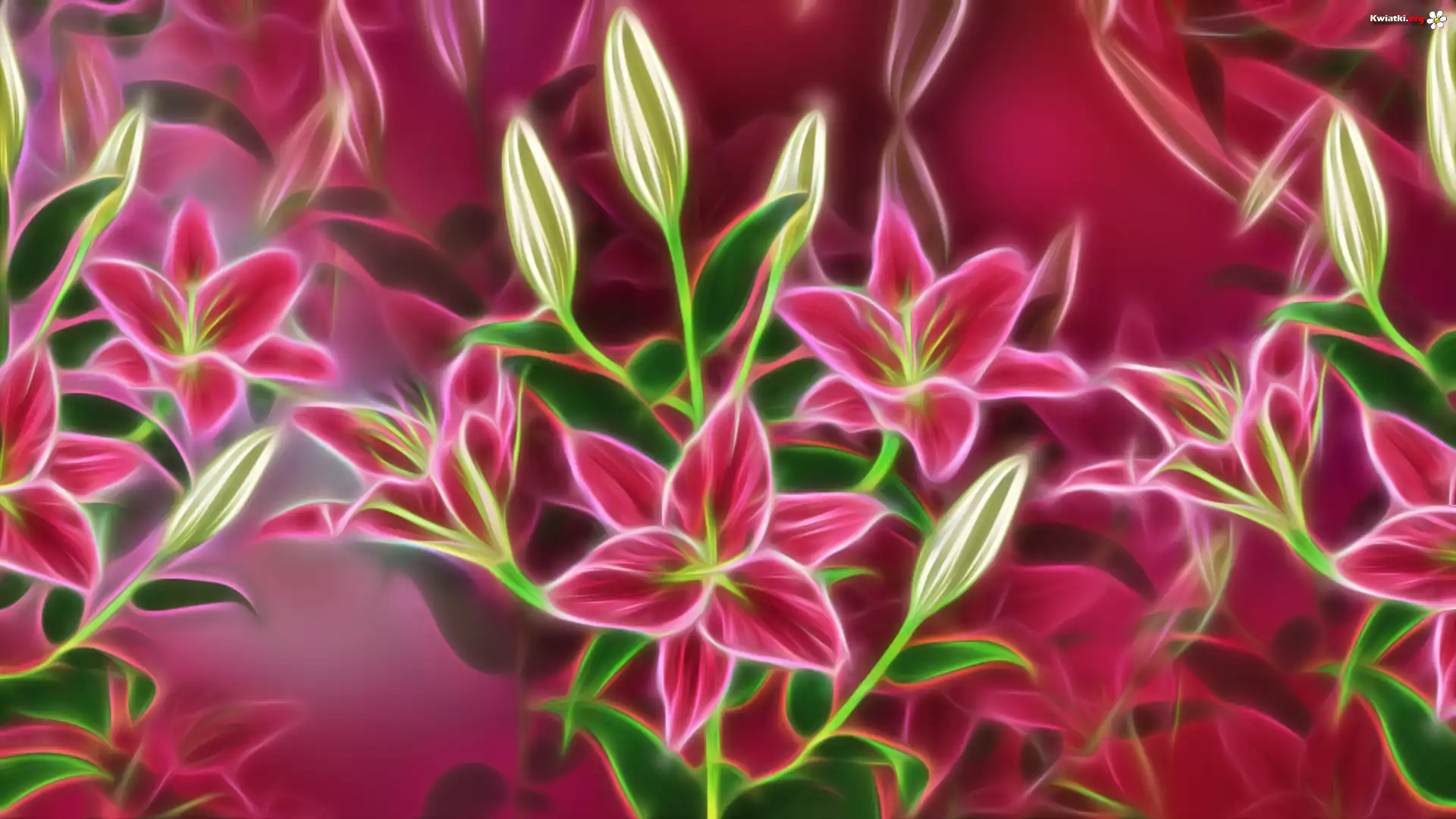 Kwiaty, Lilie, Grafika, Fractalius