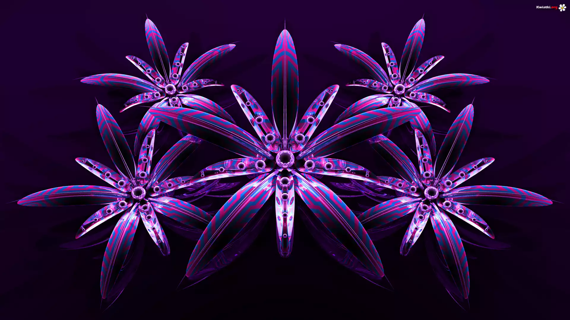 Grafika 3D, Fioletowe, Kwiaty