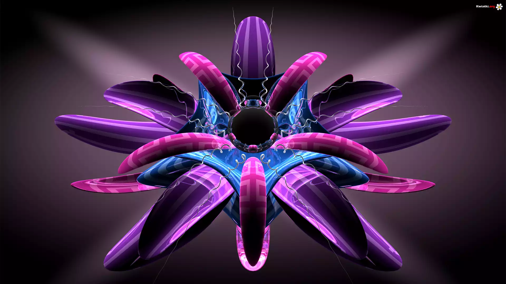 Grafika 3D, Fioletowy, Kwiat