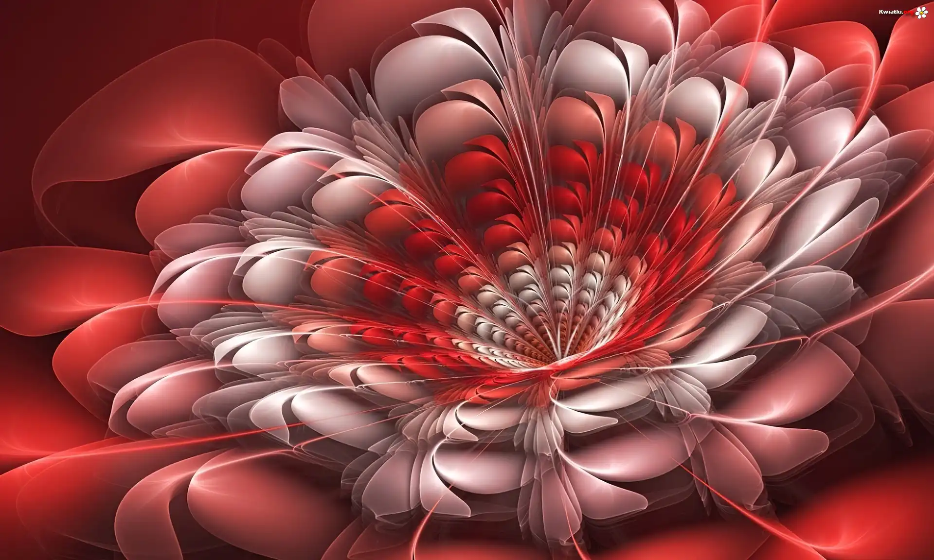 Kwiat, Grafika, 3D