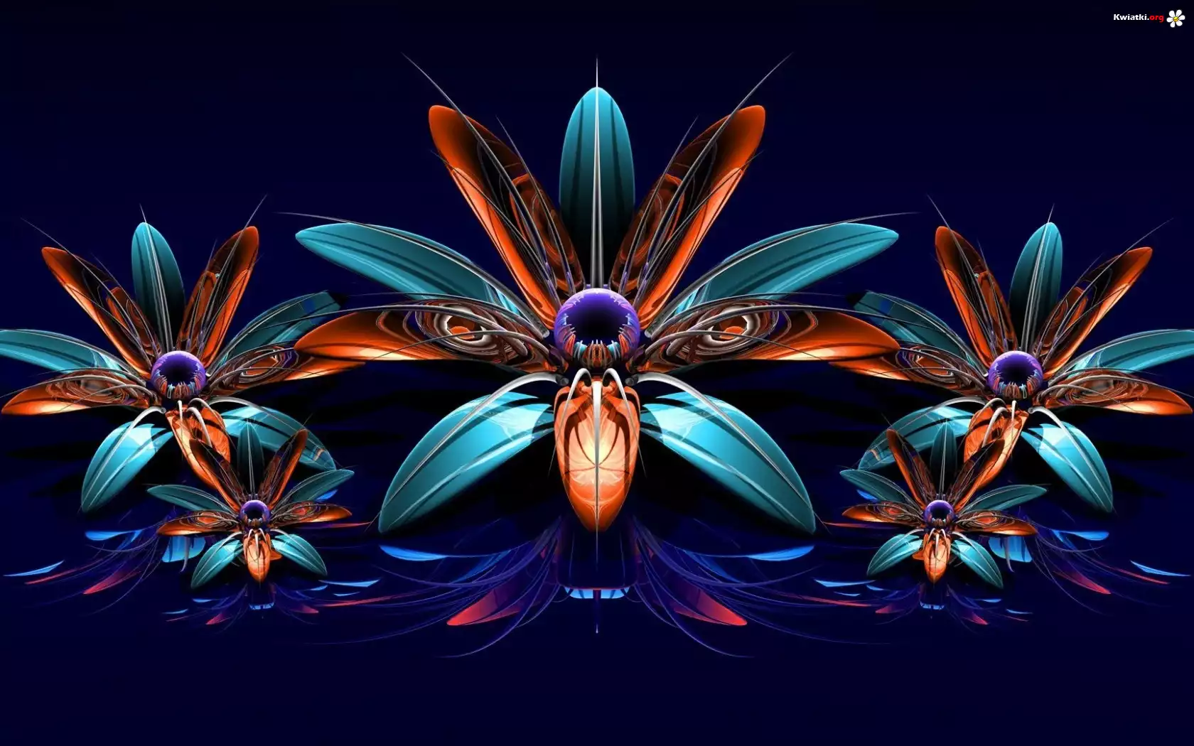 Kwiaty, Grafika 3D