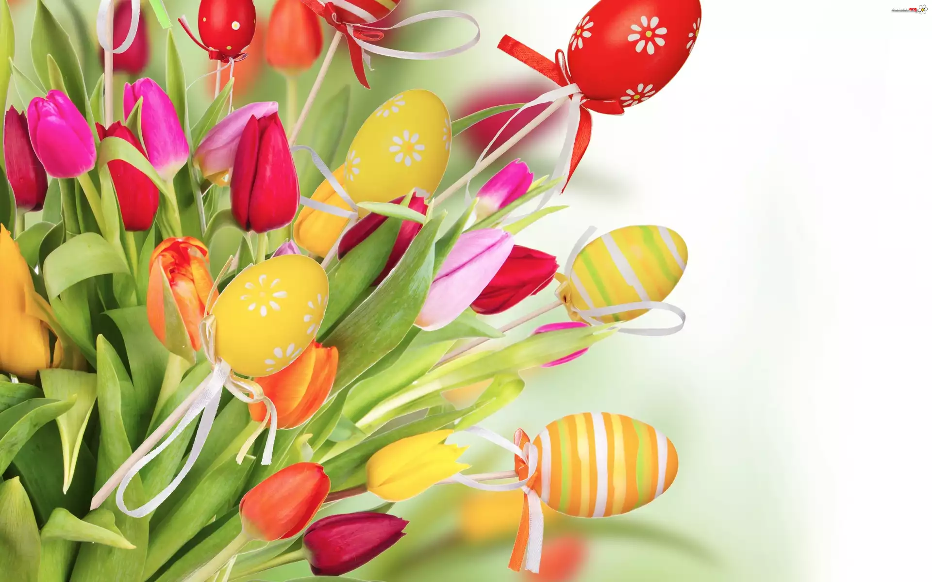 Wielkanoc, Jajka, Tulipany