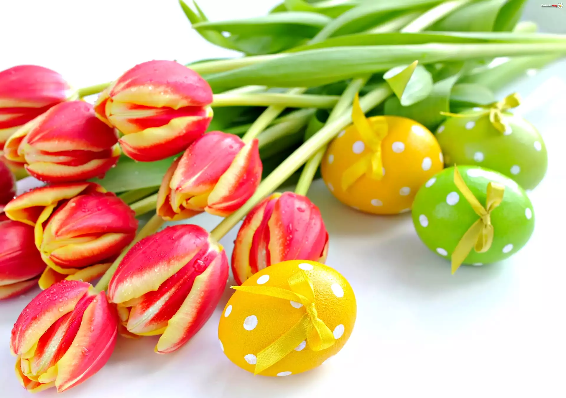 Wielkanocne, Jajka, Tulipany