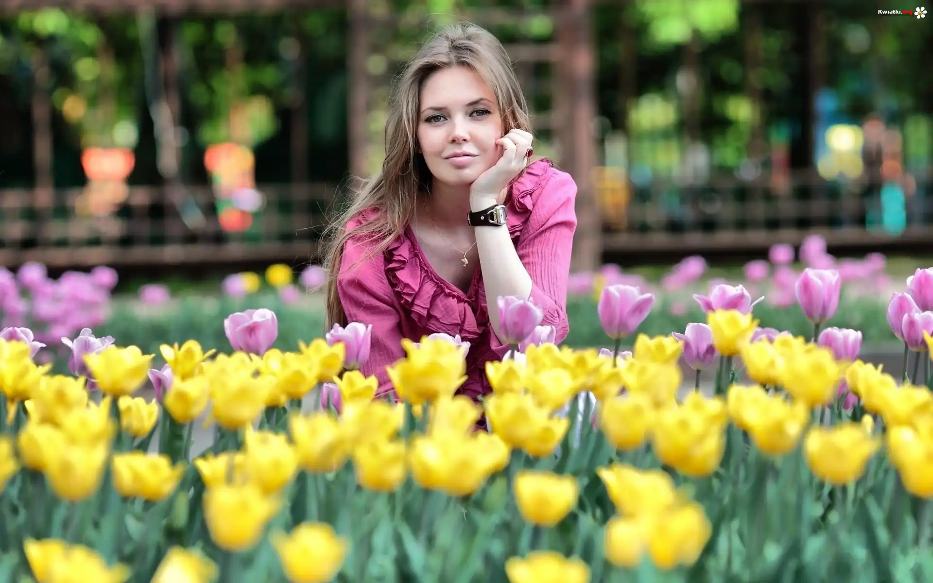 Młoda, Kobieta, Tulipany