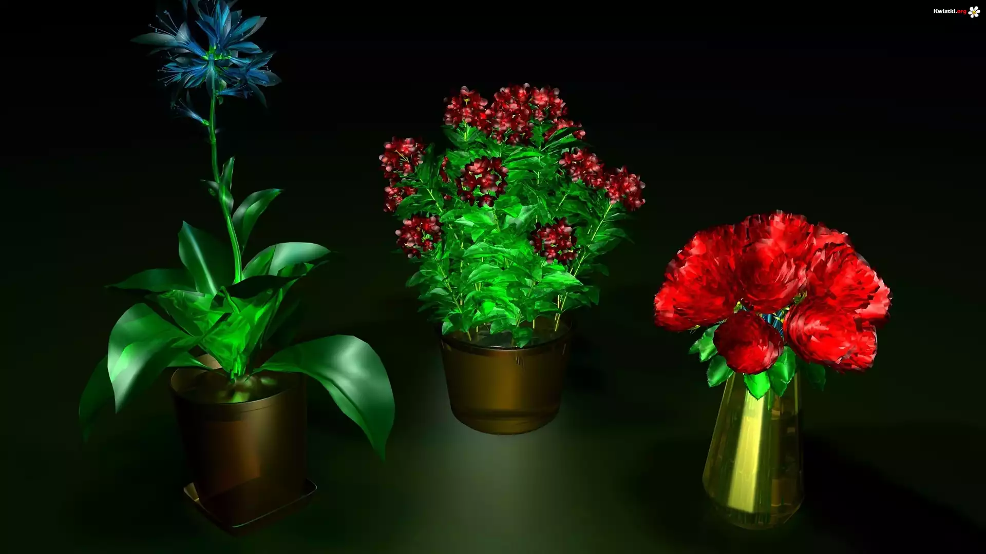 Kolorowe, Kwiaty, Grafika 3D