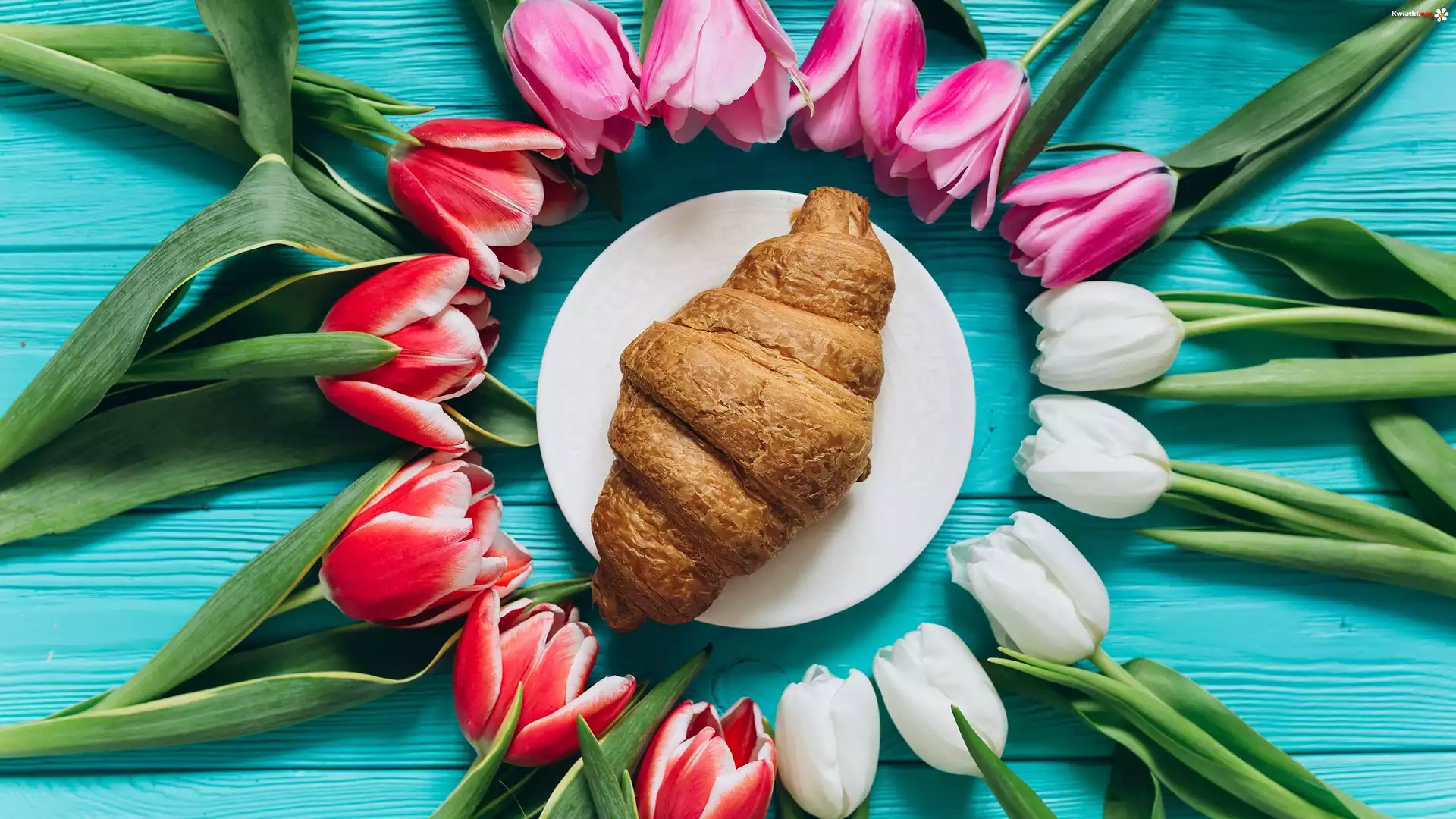 Kolorowe, Tulipany, Talerzyk, Rogalik, Croissant
