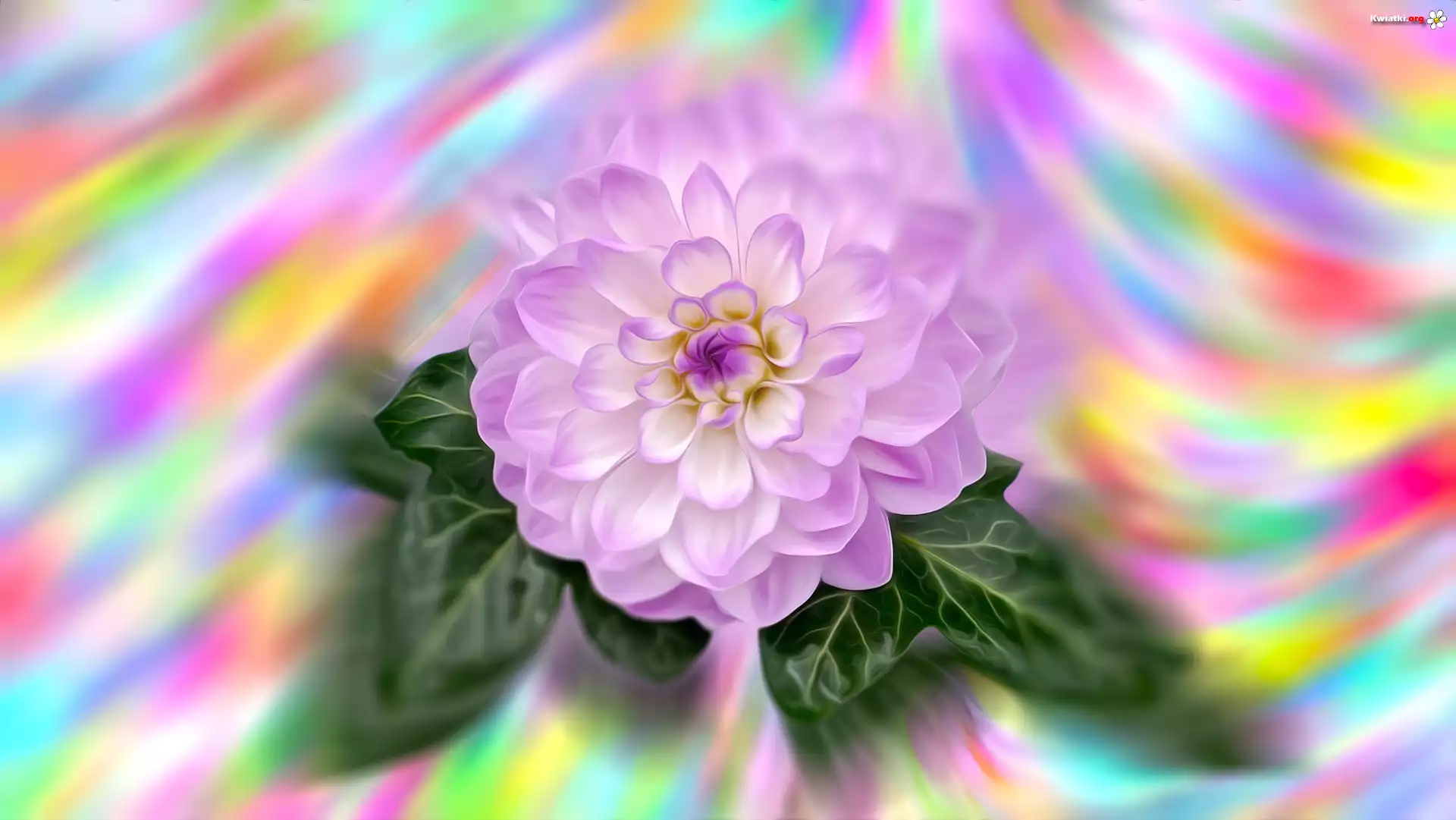 Kwiat, Dalia, Rozmycie, Grafika Farba olejna