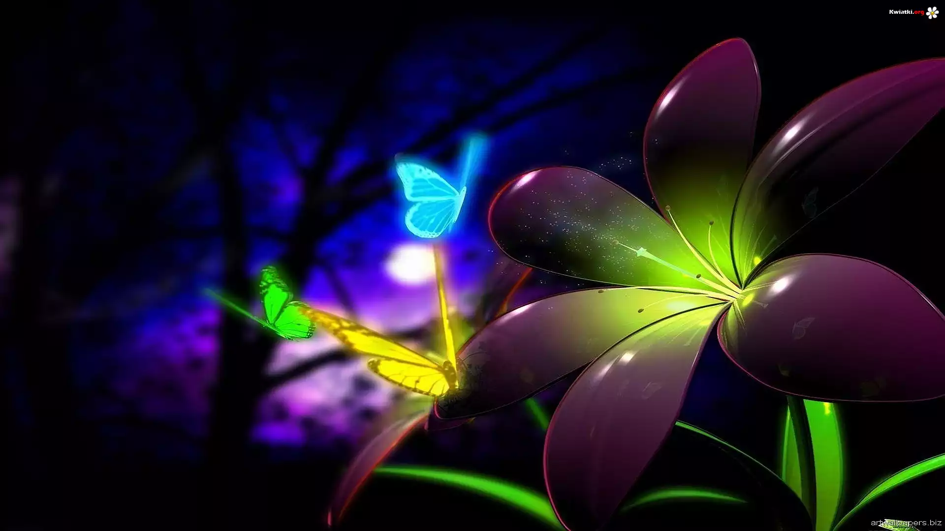 Kwiat, Motyle, Neon, 3D