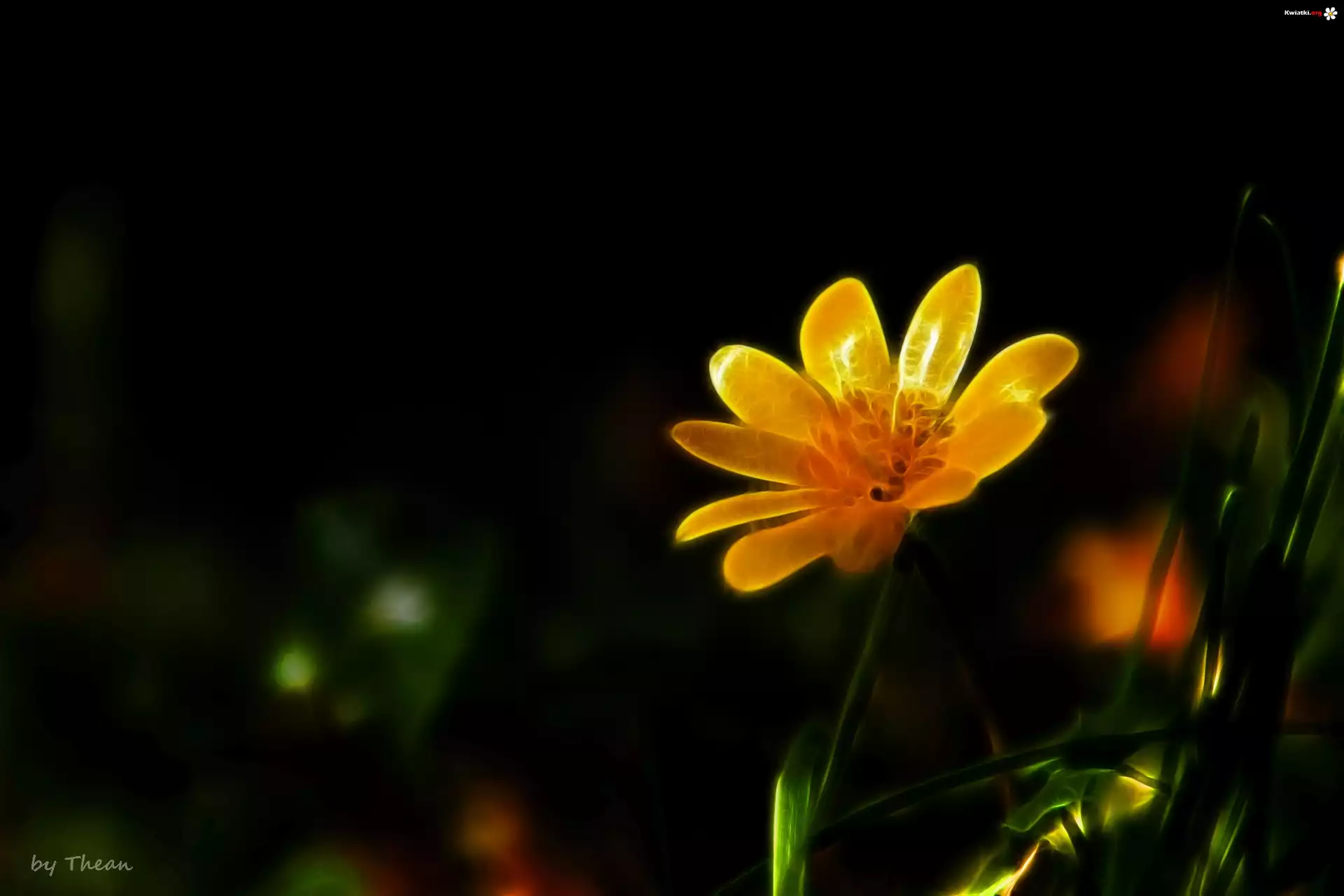 Żółty, Kwiat, Fractalius