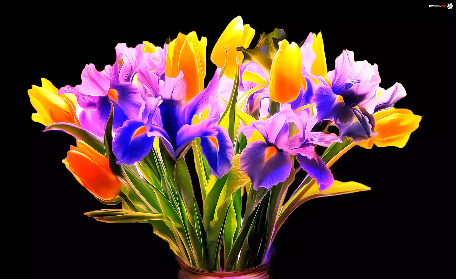 Bukiet kwiatów, Fractalius, Tulipany, Irysy, Czarne tło