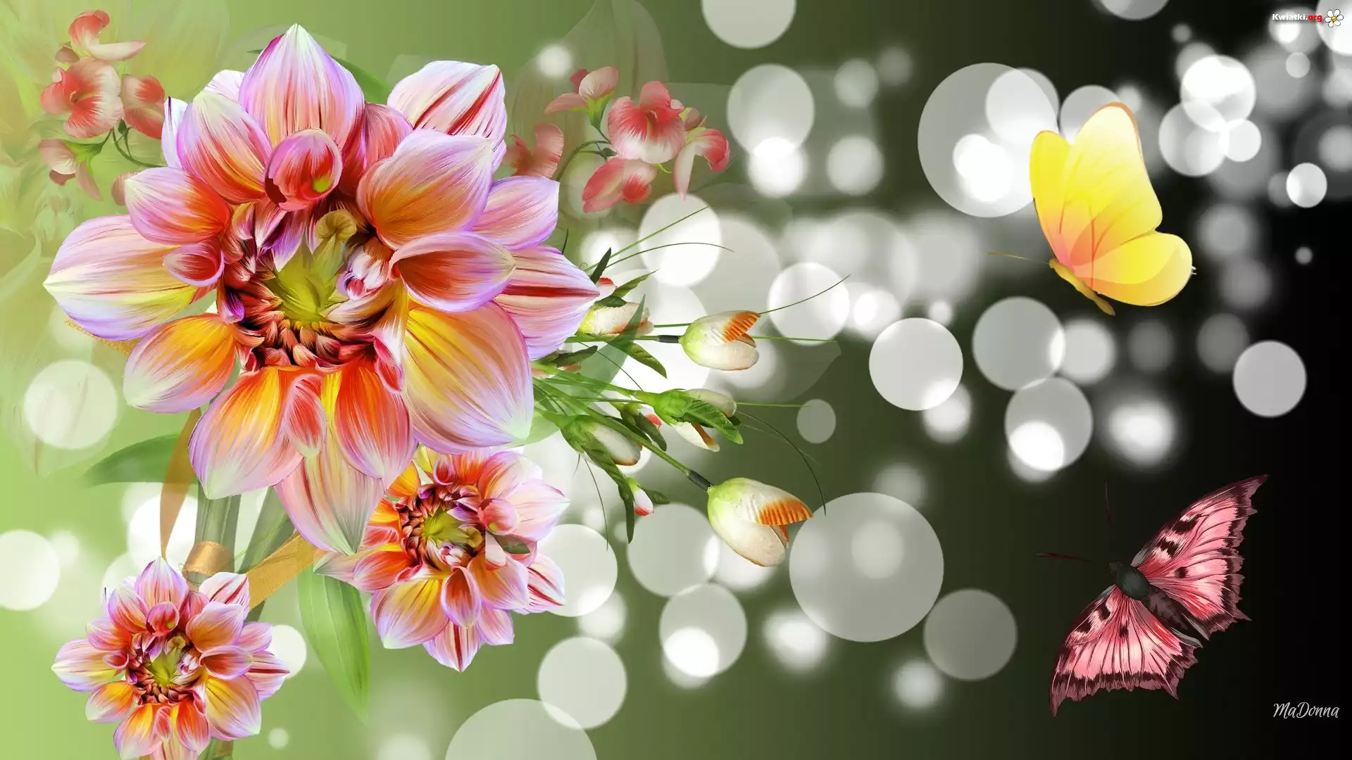 Kwiaty, Motyle, Bokeh, Art