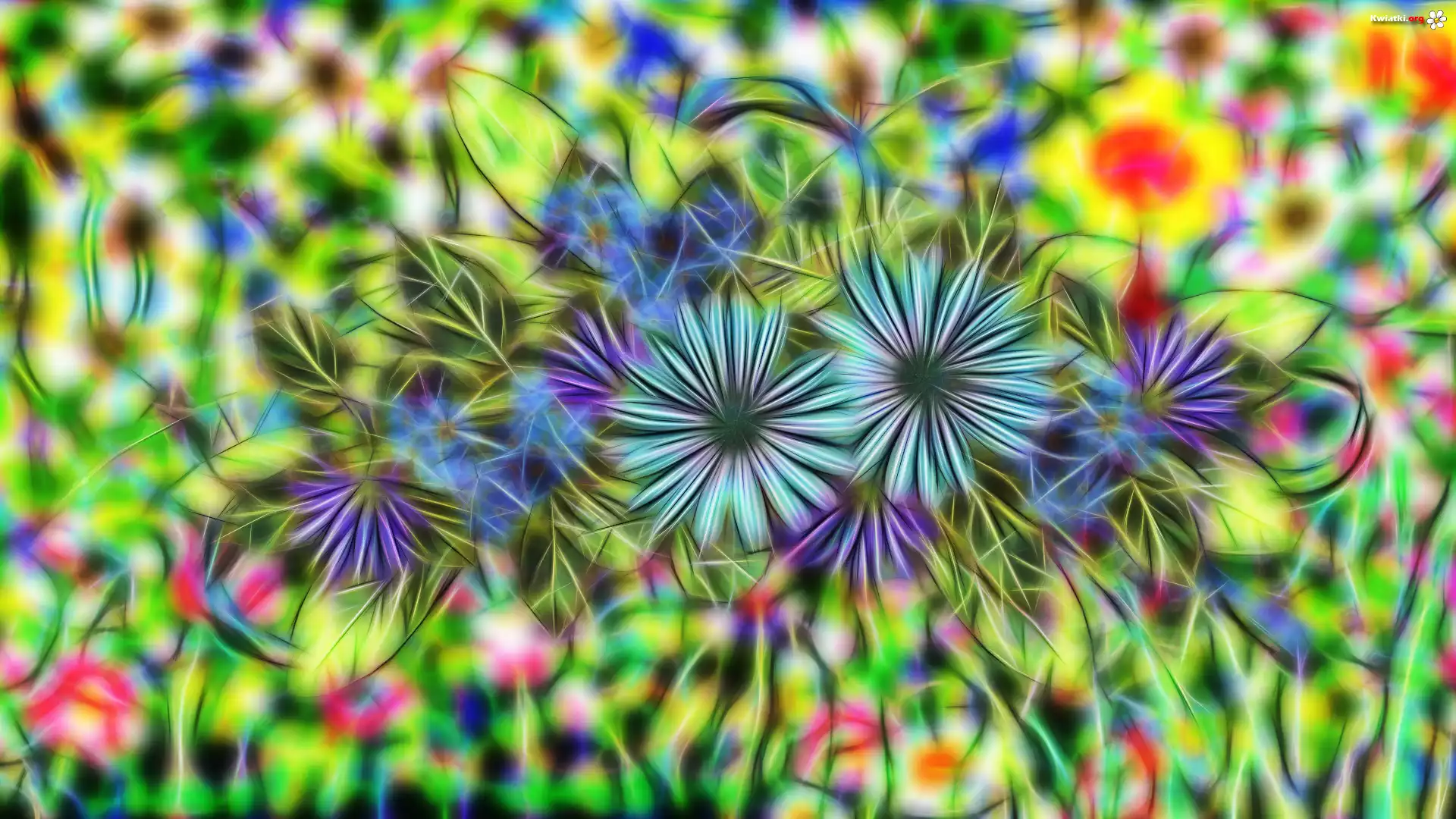 Grafika, Fractalius, 2D, Kwiaty